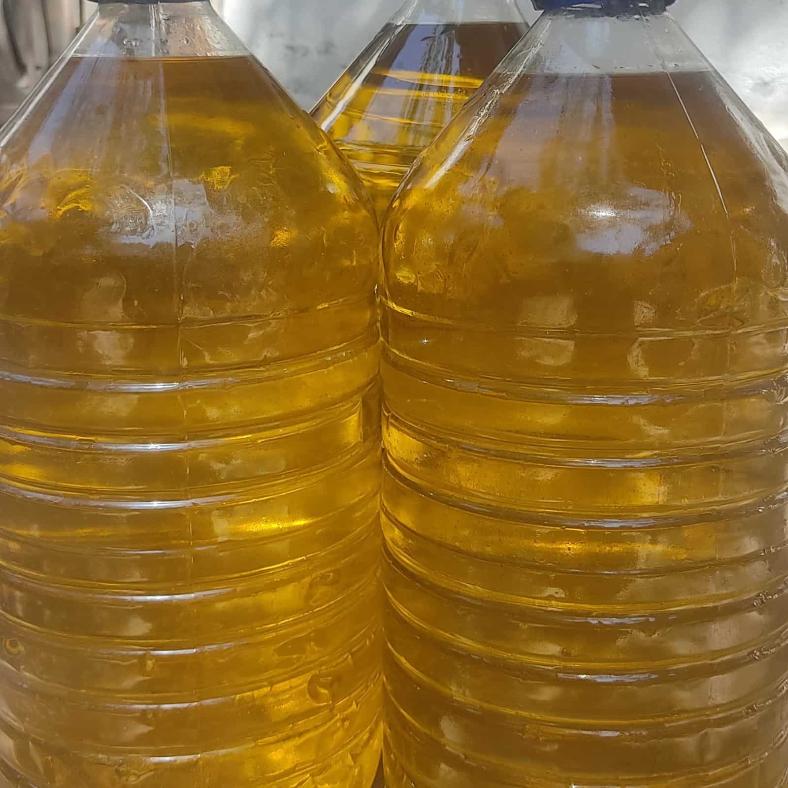 horanta koop zeytin defne zeytinyağı (2)