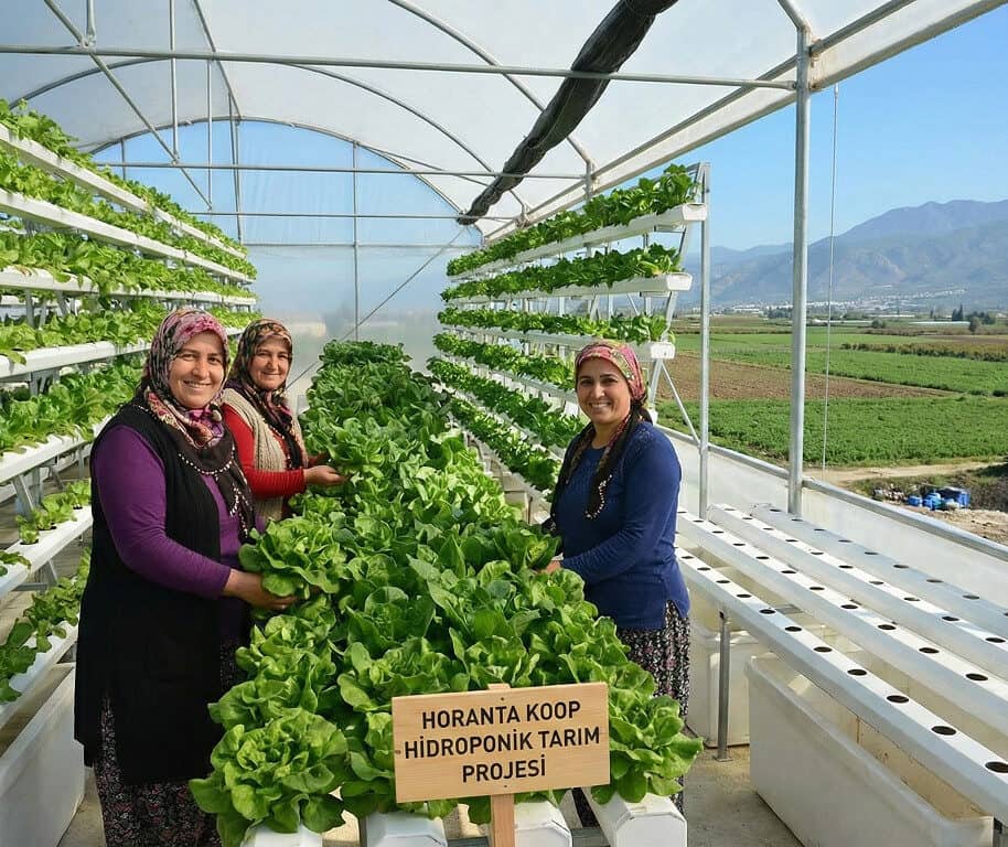 Geleceğe Kök Salıyoruz: Horanta Kooperatifi’nin 2025-2026 İklim Eylemi Yolculuğu